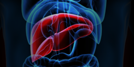 Living-Donor Liver Transplant Humar 2.21